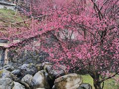 -屈原故里文化旅游区