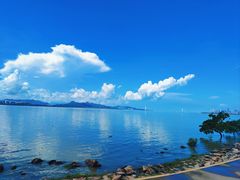 -深圳湾公园(南山区)