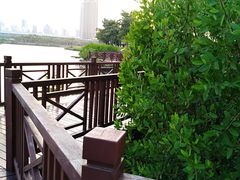 -万绿园