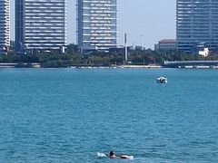 -五缘湾湿地公园