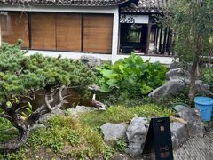 -日出青木