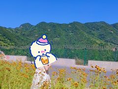 -黑河国家森林公园