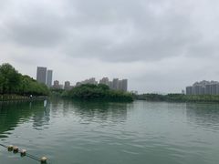 -天鹅湖体育公园