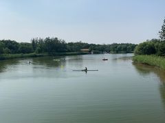 -大兴滨河森林公园