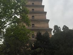 -骏途旅游