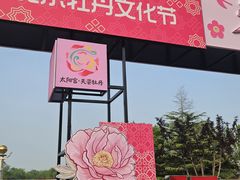 -太阳宫公园