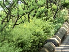 -新江湾城公园