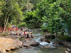 -广州白江湖森林公园