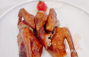 Jianglong Signature Pigeon