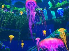 -海合安成都极地海洋公园