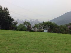 -青龙山公园