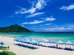 -西涌国际滨海旅游区