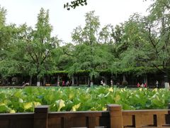 -四川大学(华西校区)