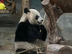 -海南热带野生动植物园