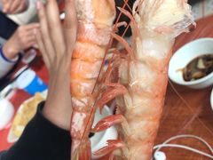 -蚝乡农庄(铁涌赤岸店)