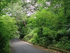 -世纪缘湖滨花园酒店·湖景轩中餐厅(太阳宫店)