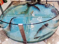 -屯靠屯地锅王(西南路店)