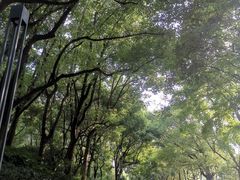 -上海电影博物馆