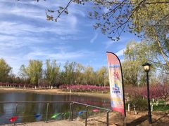 -永定河休闲森林公园