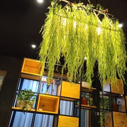 -藤野造型·专业烫染店