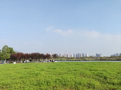 -洋湖国家湿地公园