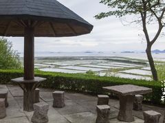 -蛇蟠岛