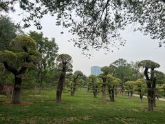 -西海子公园