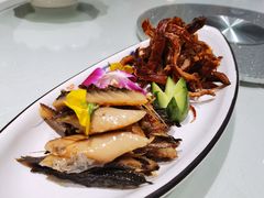 -海派美食·家宴海鲜青岛菜·石锅鲽鱼头(东方城店)