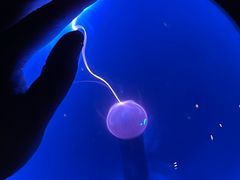 -郑州方特梦幻王国