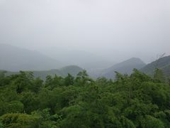 -莫干山风景区