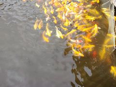 -沂蒙云瀑洞天景区
