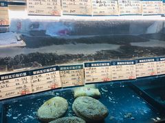 -白玉兰食品(汇联商厦店)