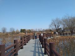 -长兴太湖图影湿地文化园