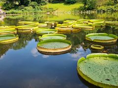 -云溪植物园