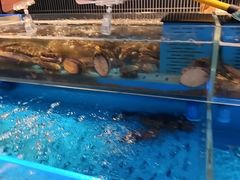 -海底捞火锅(长宁路龙之梦店)