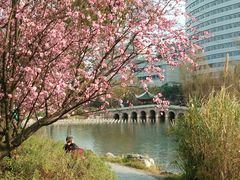 -北湖公园