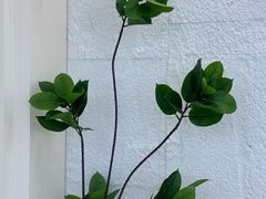 -吾悦广场(天津和平店)