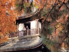 -汇龙潭