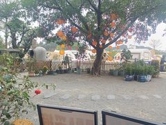 -长洲岛都市农业公园
