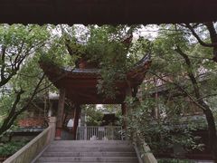 -龙潭水乡