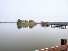 -西青郊野公园