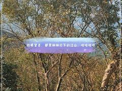 -紫金山山顶公园