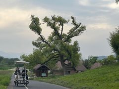 -良渚古城遗址公园