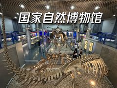 -国家自然博物馆