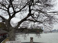-无锡蠡湖国家湿地公园-蠡园