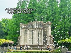 -音乐台