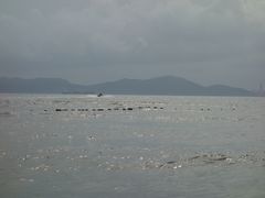 DSC00527-青岛第二海水浴场