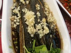 炝虎尾-玉华台饭庄(裕中西里小区店)