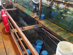 -蓝湾碧波·老字号·疍家非遗海上餐厅