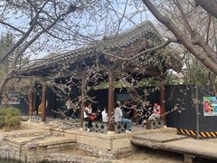 -春风习习